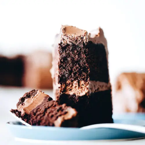 Vegan Chocolate Cake (Gluten Free Oil Free) Vegan Chocolate Cake (Gluten Free Oil Free)