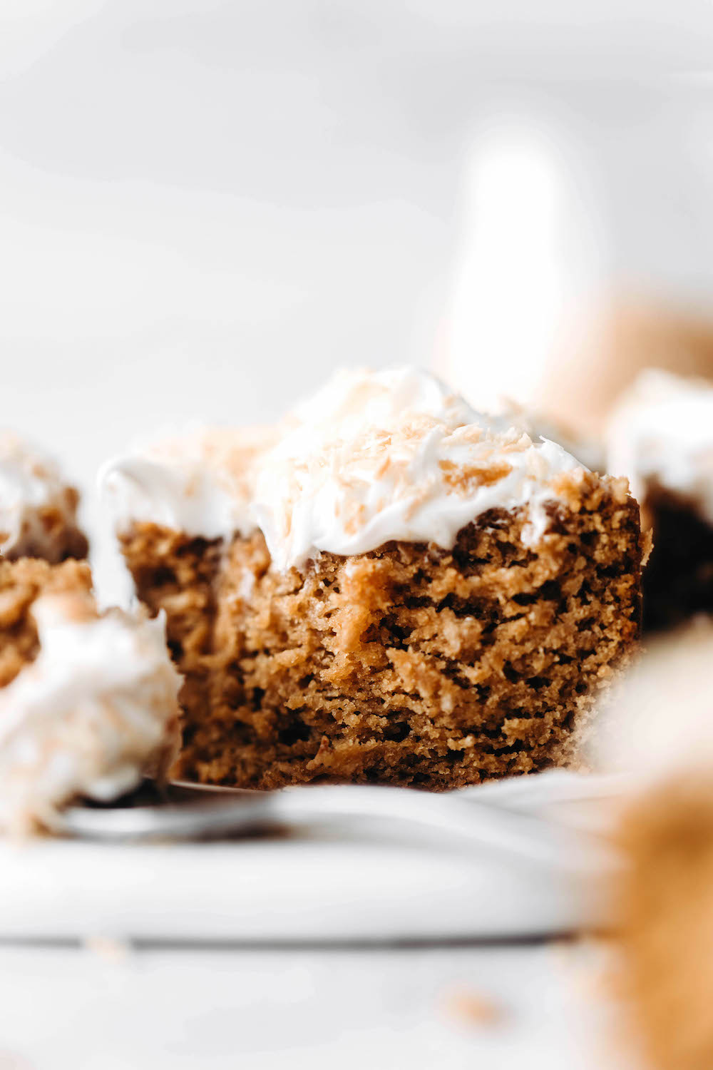 Toasted Coconut Cake (vegan + grain-free)