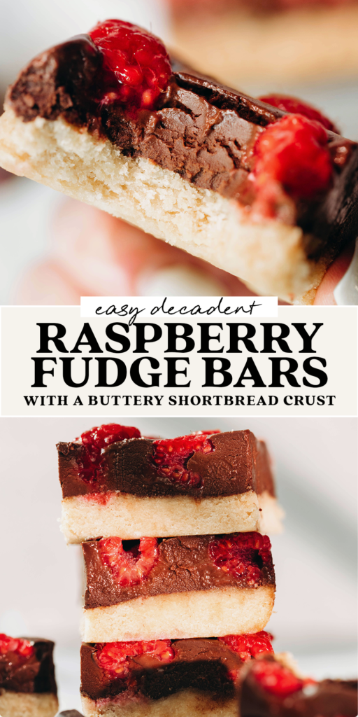 Raspberry Fudge Bars (vegan + paleo)