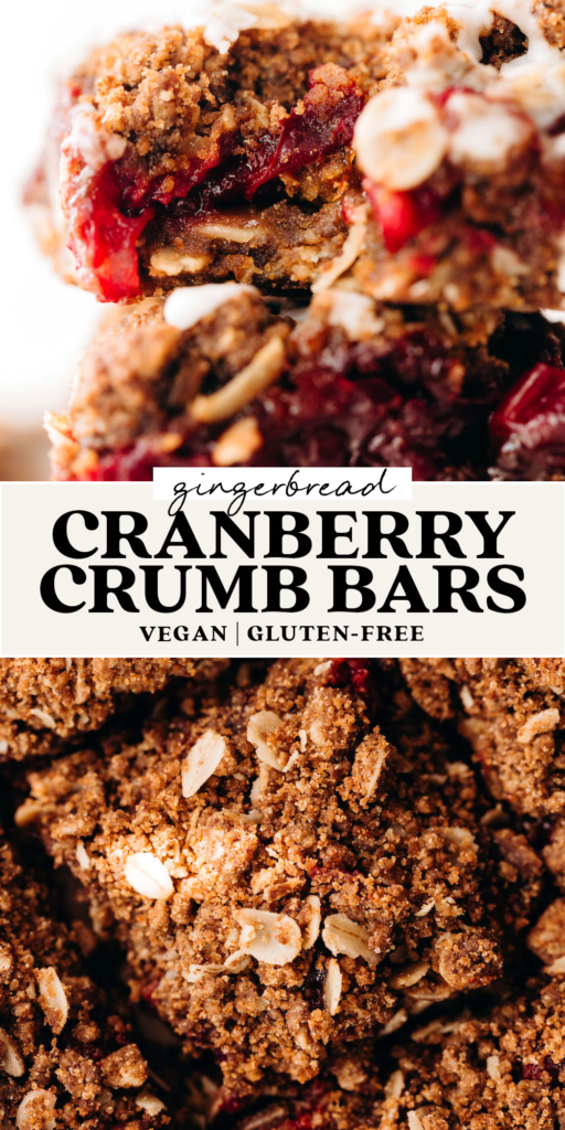 Cranberry Gingerbread Crumb Bars (vegan/gluten-free)