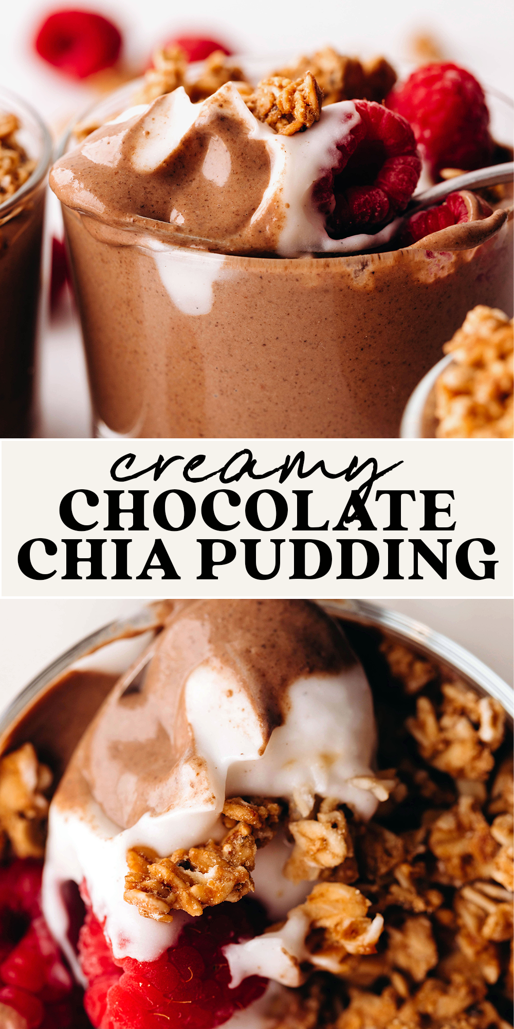 Creamy Chocolate Chia Pudding (dairy-free)