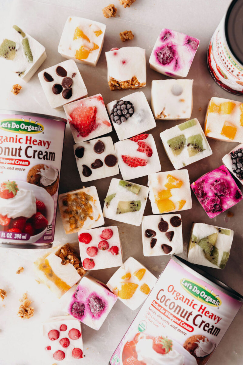 DairyFree Frozen Yogurt Bites Feasting on Fruit