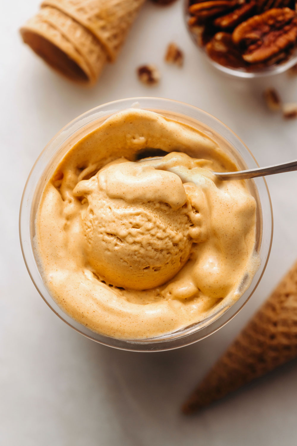 https://feastingonfruit.com/wp-content/uploads/2023/09/Dairy-Free-Ninja-Creami-Pumpkin-Ice-Cream-7.jpg