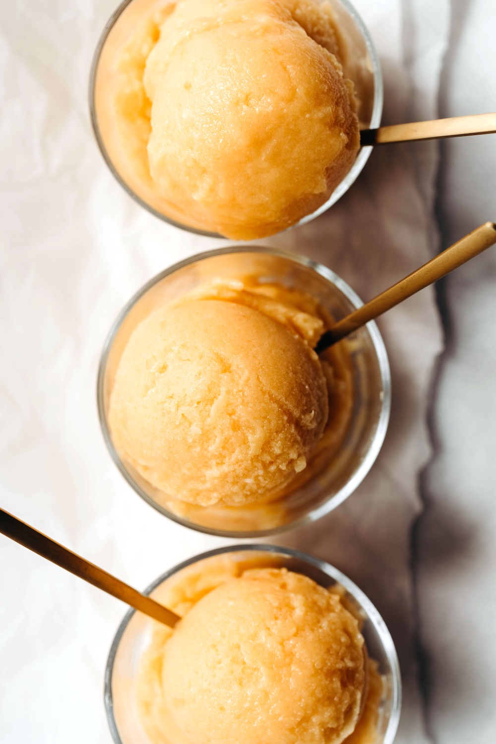 Easy Tropical Sorbet (no-churn)