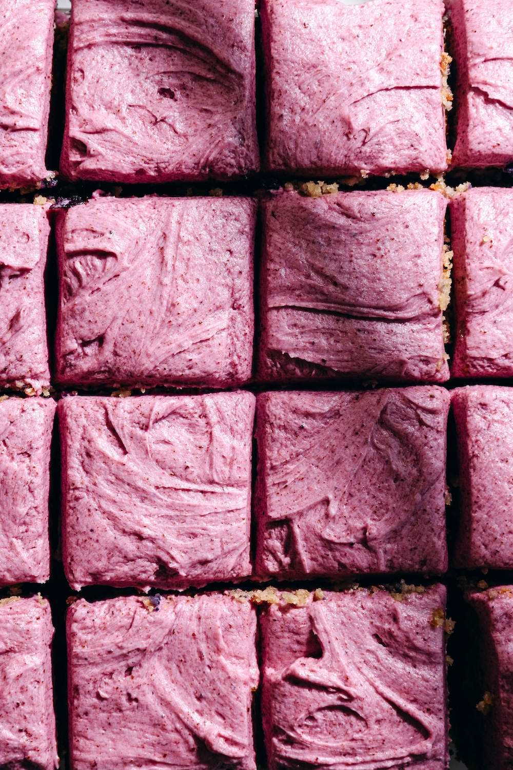 Overhead close-up of frosted gluten-free blueberry snack cake cut into squares.